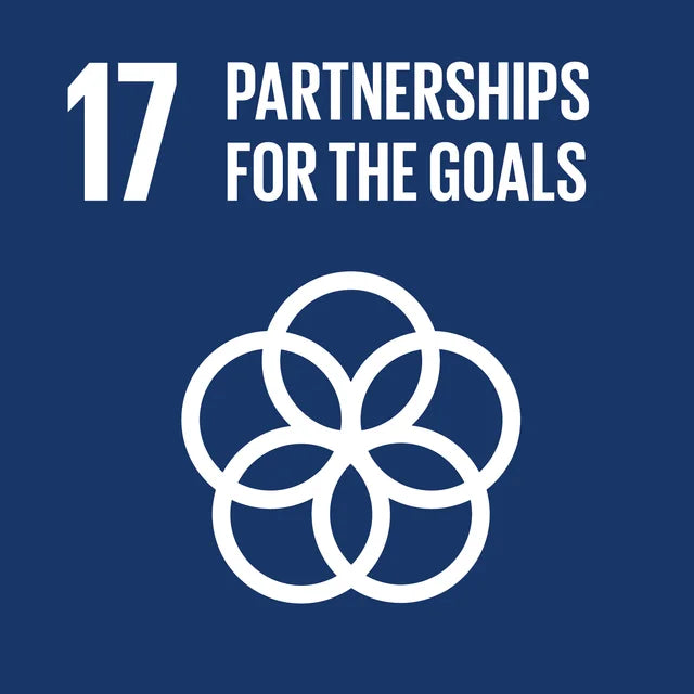 partnership_for_the_goals UN sustainability
