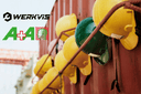 Why Trade Shows Still Matter: The Power of Real Connections at A+A 2025