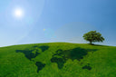 <h5>Sustainability Is Our Starting Point, Not a Slogan</h5>