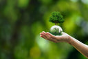 <h2><strong>Our Sustainability Goals</strong></h2>
